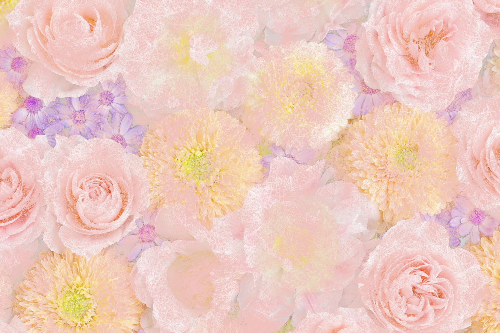 ピンクの背景にラフなタッチの花の線描画