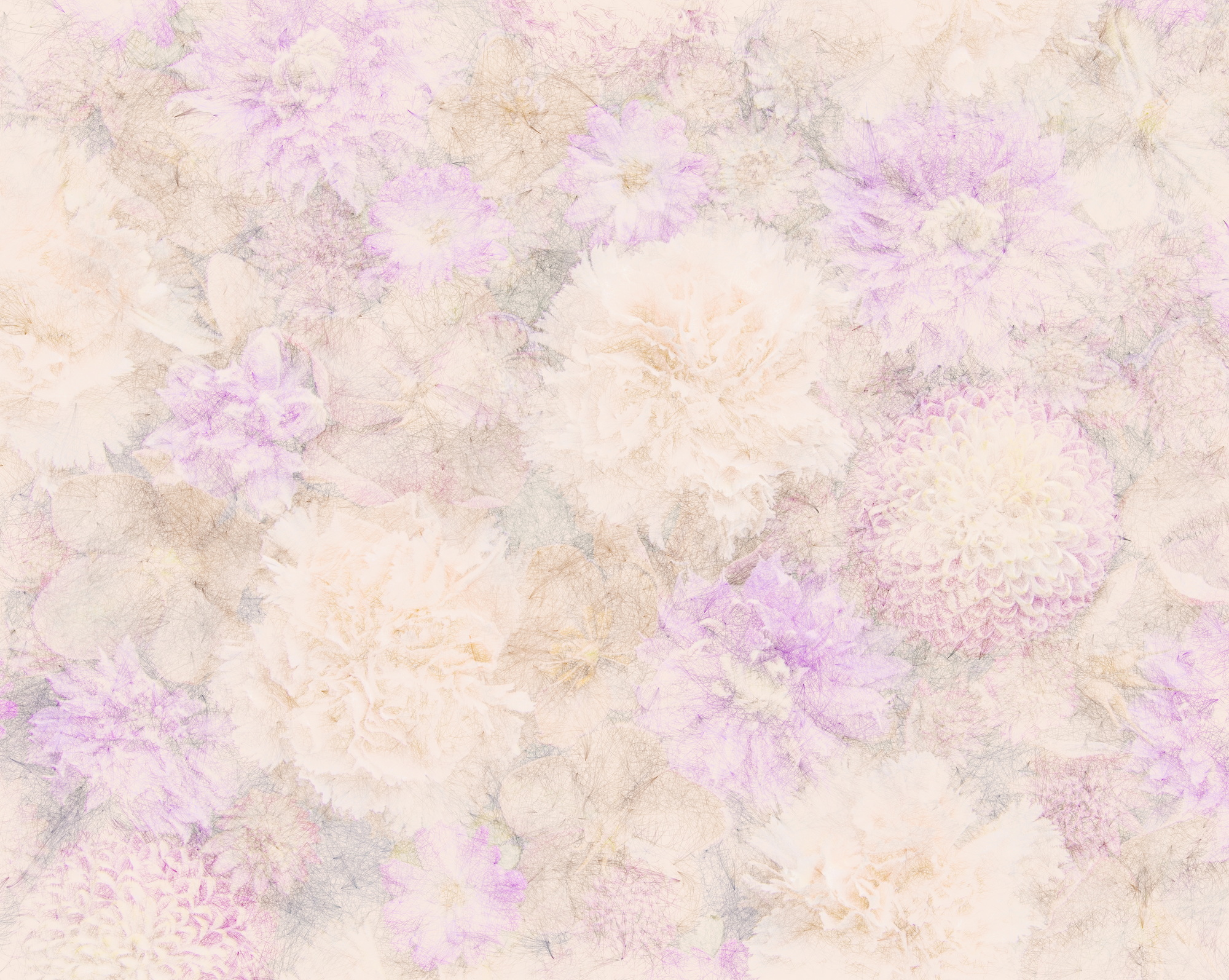 クリーム色の背景にラフなタッチの花の線描画