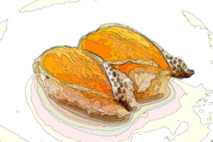 Illustration_of_Lightly_Broiled_Salmon_Nigiri_Sushi_divided_by_lines