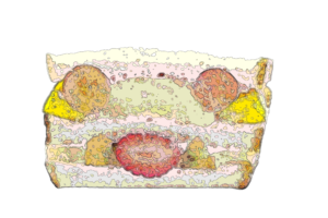 Illustration_of_fruit_sandwich_divided_by_lines