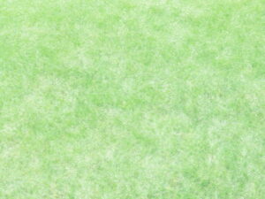 緑の芝生の色鉛筆画
