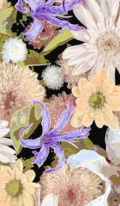 Gerbera, licorice, chrysanthemum, lily