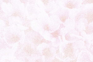 Cherry_Blossom_Dotted_Paintings