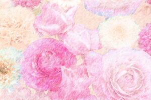 ピンクの花の色鉛筆画