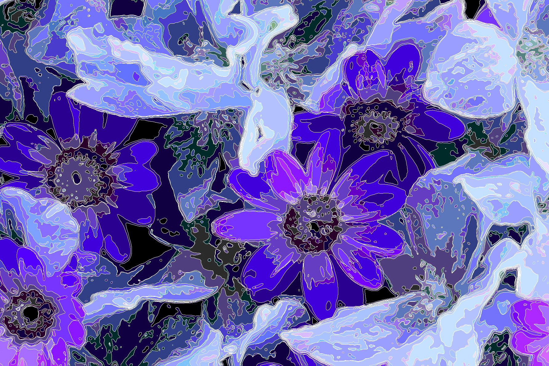 Finely segmented purple flowers
