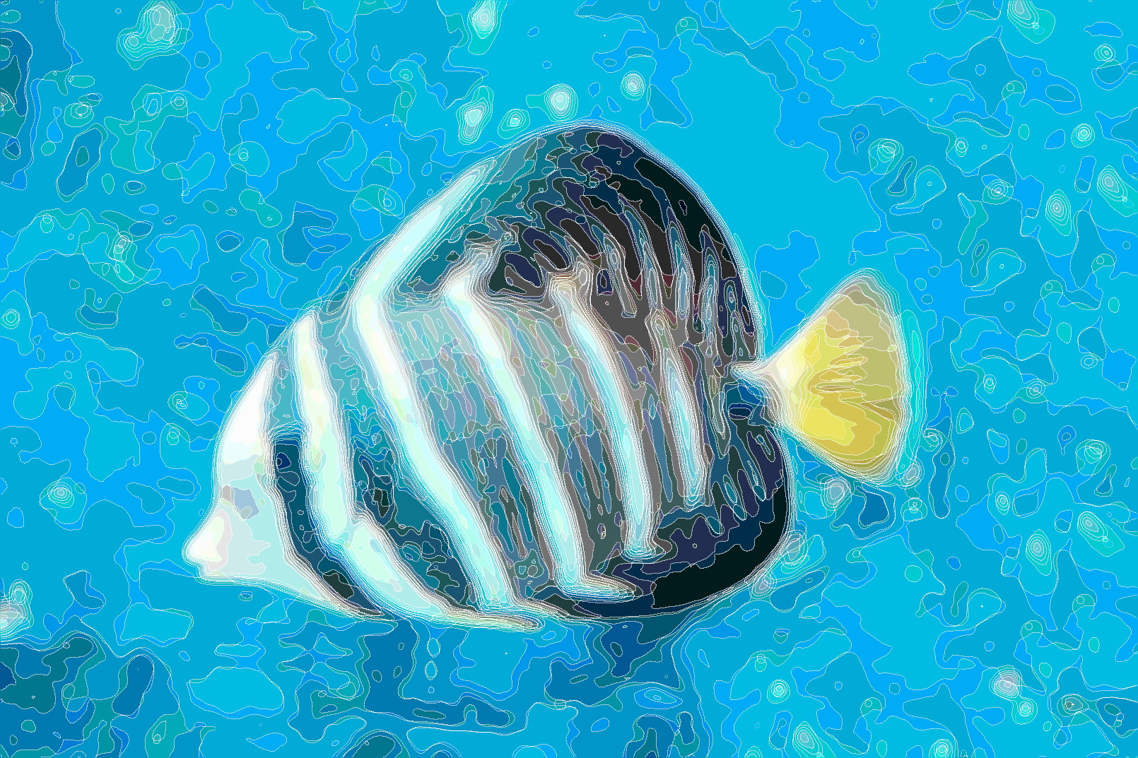Illustration_of_sailfin_tang_divided_by_lines