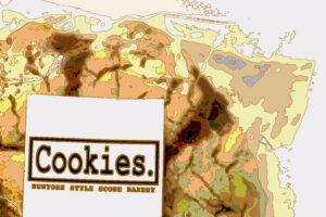 Illustration_of_cookie_divided_by_lines
