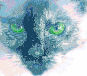 睨む猫の顔のイラスト