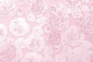ピンクのバラの花のレリーフ
